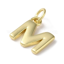 Cremagliera charms ottone placcatura&nbsp;KK-P245-06G-M