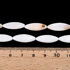 Natürlichen Süßwasser-Muschelperlen Stränge&nbsp;PBB220Y-1-01