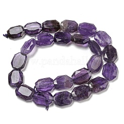 Natürlichen Amethyst Perlen Stränge&nbsp;G-P544-B06-01