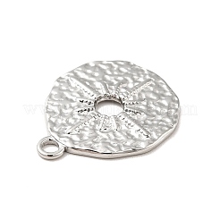 Pendentifs en acier inoxydable 304 anti-ternissement&nbsp;STAS-I197-006P