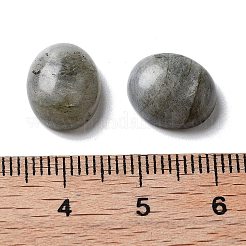 Natur Labradorit Cabochons&nbsp;G-G145-01A-61