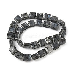 Natur Labradorit Perlen Stränge&nbsp;G-F802-B03-01