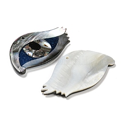 Natürliche Süßwassermuschel&nbsp;BSHE-G034-03