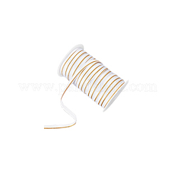 Polyester-Satin-Paspelband&nbsp;OCOR-WH0091-32B