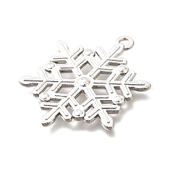 Aluminium Anhänger & Charms&nbsp;TIBE-L008-04P
