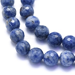 Perles de jaspe tache bleue naturelle&nbsp;G-K310-A22-10mm