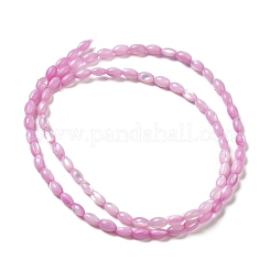 Hebras de cuentas de concha de trochus natural&nbsp;SHEL-K006-19