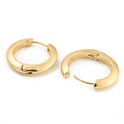 Orecchino di cerchio in lega&nbsp;EJEW-P269-17KCG