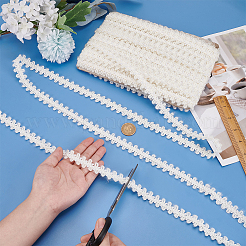22.5 Yards geflochtene Spitzenbänder aus Polyester&nbsp;DIY-MA0005-67B