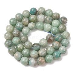 Fili di perline amazonite naturale&nbsp;G-F461-12-8mm-01B