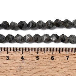 Natürliche Larvikit-Perlenstränge&nbsp;G-Z119-A32-01