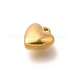 Anhänger aus 304 Edelstahl&nbsp;STAS-C119-16G