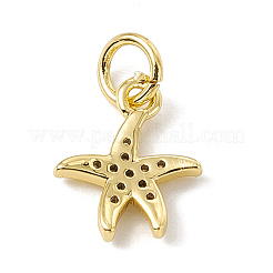 Ottone micro spianare fascino zirconi&nbsp;ZIRC-F132-25G
