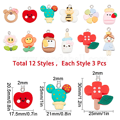 36pcs 12 colgantes de resina de estilo&nbsp;RESI-SC0002-14