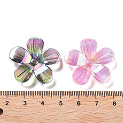 Capuchons de perles en acrylique transparents avec placage UV&nbsp;MACR-K356-15E