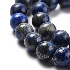 Natürliche Lapislazuli runde Perle Stränge&nbsp;G-E262-01-8mm