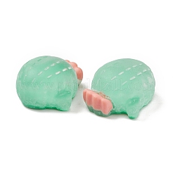 Transparente Harzcabochons&nbsp;RESI-F024-01