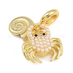 Breloques pendantes européennes en forme de coquillage de crabe&nbsp;X-KK-I352-11G