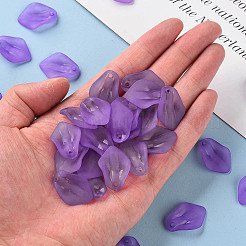 Pendentifs acryliques mats transparents&nbsp;MACR-S371-03A-747