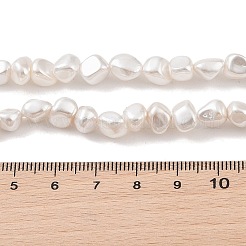 Fili di perle di conchiglie galvanizzate&nbsp;BSHE-C006-02A
