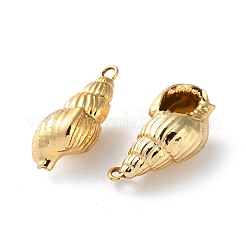 Pendenti in conchiglia naturale elettrolitica&nbsp;SSHEL-B002-01G-01