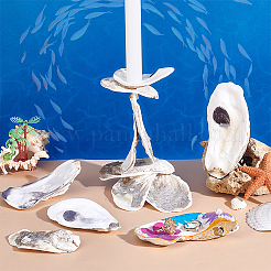 30 pièce 3 styles de coquille d'huître&nbsp;DIY-PH0029-34