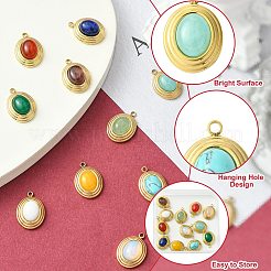 12pcs 12 Arten natürliche Edelsteinanhänger&nbsp;STAS-CJ0002-60
