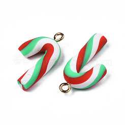 Handmade Fimo Anhänger&nbsp;CLAY-N010-052