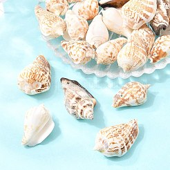 Natürliche Muschelperlen&nbsp;BSHE-O007-57