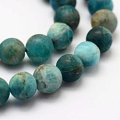 Chapelets de perles en apatite naturelle&nbsp;G-K193-10mm-12