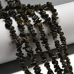 Natürliche goldenen Glanz Obsidian Perlen Stränge&nbsp;G-G0003-B46
