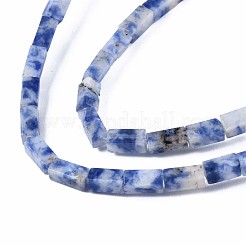 Fili di perle di diaspro macchia blu naturale&nbsp;G-S299-139