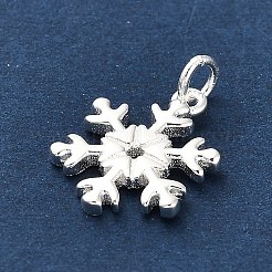 925 ciondoli in argento sterling&nbsp;FIND-Z069-04S-B