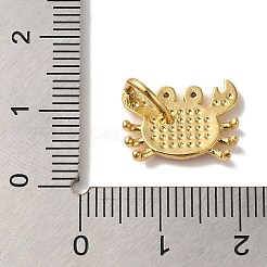 Porte micro ouvrent pendentifs zircone cubique en laiton de placage&nbsp;X-KK-U027-12-04G