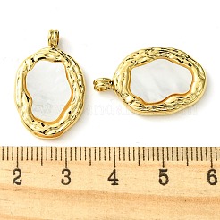 Ionenplattierung (IP) 304 Edelstahl Pavé Muschel Anhänger&nbsp;FIND-Z028-09G