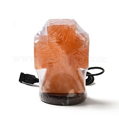 USB-Lampe aus natürlichem Himalaya-Steinsalz&nbsp;DJEW-P002-02D