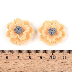 Decoden-Cabochons aus Harz&nbsp;CRES-T025-04B