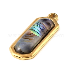 Pendentifs en coquille paua&nbsp;SSHEL-B145-01A-G