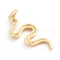 Messing Mikro ebnen Zirkonia Anhänger&nbsp;ZIRC-E164-24G