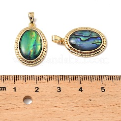 Ovale Anhänger aus natürlicher Paua-Muschel&nbsp;KK-G538-24G