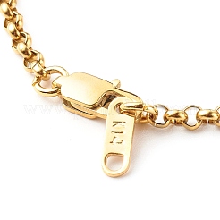 Set di collane con catena rolo in acciaio inossidabile 304&nbsp;NJEW-JN03569