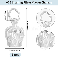 5 Stück 925 Sterlingsilber-Anhänger&nbsp;STER-BBC0002-19