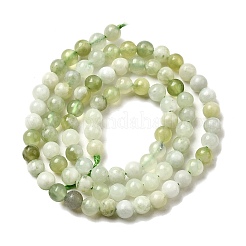 Natürlich neu Jade Perlen Stränge&nbsp;G-K340-A01-4mm