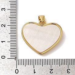 Pendentifs en laiton zircon cubique transparent&nbsp;KK-K345-05G-02