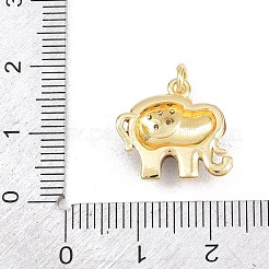 Pendentifs avec zircon cubiques à micro-pavés en laiton&nbsp;KK-F938-41G-01C