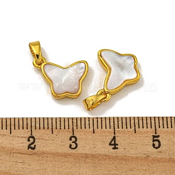 Gestell Beschichtung Messing pflastern natürliche weiße Muschel Schmetterling Charms&nbsp;KK-U025-01G-01