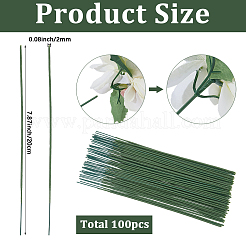 100 Stück Eisenstiel-Blumenstab&nbsp;AJEW-SP0003-73C