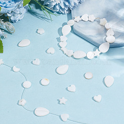 120 Stück 6 Stile natürliche Muschelperlen&nbsp;SHEL-AR0001-16