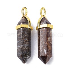 Spitze Anhänger aus natürlichem Bronzit&nbsp;G-G025-01G-14