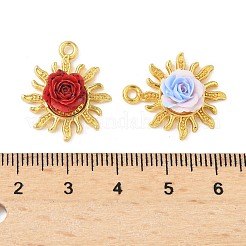 Legierung Harzanhänger&nbsp;PALLOY-S056-01G